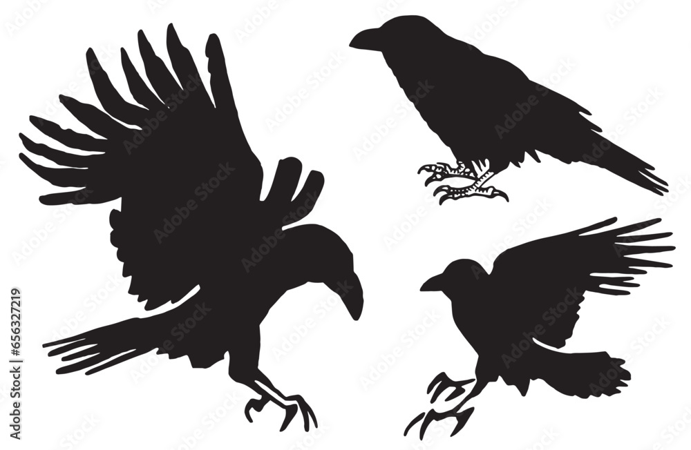Obraz premium Ink pen vector set of silhouettes of crows isolated on white background. Elements for design,tattoo and printing 