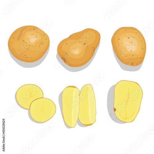 Vector illustration single and group of brown potato in flat style. Root vegetable organic product. Agriculture food healty nature. Whole and sliced with green leaves, peel and cut