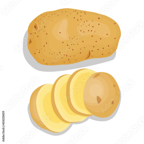 Vector illustration single and group of brown potato in flat style. Root vegetable organic product. Agriculture food healty nature. Whole and sliced with green leaves, peel and cut