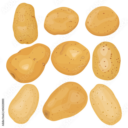 Vector illustration single and group of brown potato in flat style. Root vegetable organic product. Agriculture food healty nature. Whole and sliced with green leaves, peel and cut