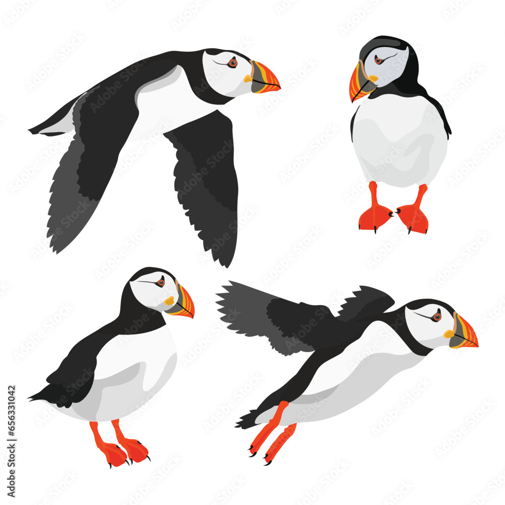Vector illustration single or group of puffin in flat style design. Atlantic cute bird wildlife animal. Aves in different view, flying and stand alone. Good use for label, icon, t-shirt Vector illustration single or group of puffin in flat style design. Atlantic cute bird wildlife animal. Aves in different view, flying and stand alone. Good use for label, icon, t-shirt