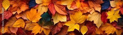 Autumn leaves background: colorful and vibrant pattern of fallen forest foliage