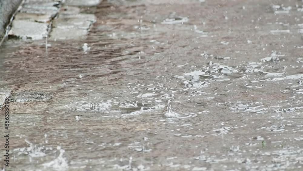 large drops of rain fall into a puddle in the park during heavy rain. large drops of rain fall into a puddle in the park during heavy rain.