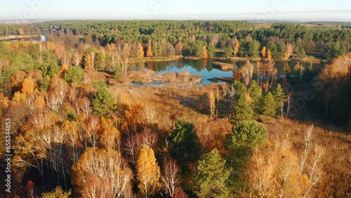 Drone footage of untouched wilderness with forest. Small Polissya, Ukraine, Europe. photo