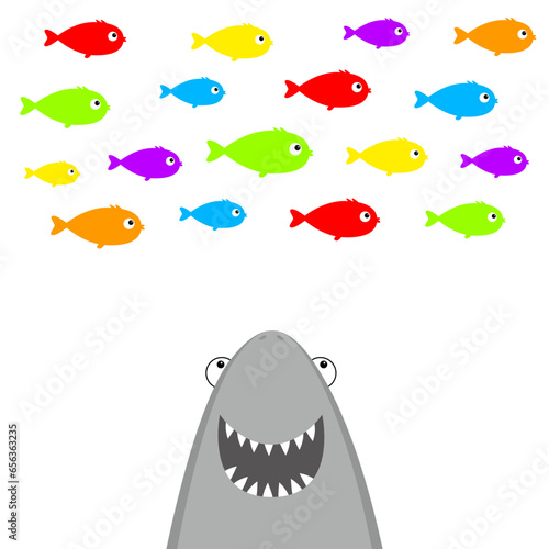 Shark face head with open mouth and sharp teeth looking at colorful fish set. Cute cartoon kawaii animal character. Sea ocean wild animal. Sticker print template. Flat design. White background