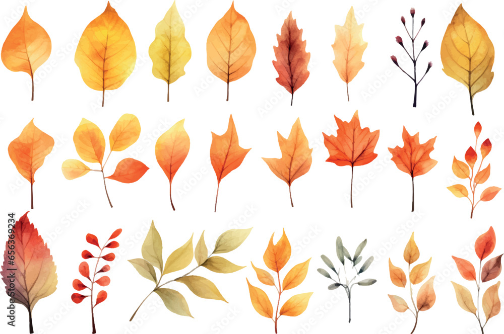 Fototapeta premium Set of watercolor clip art, autumn leaves isolated on a white background