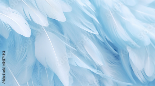 An abstract background with a close-up of soft blue feathers