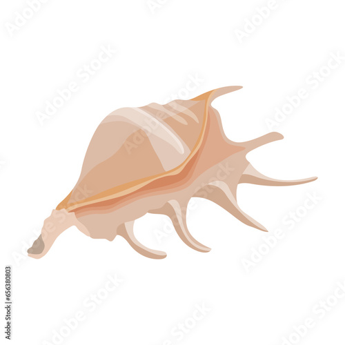 Vector illustration single or set of sea shell in flat style. Animal various mollusc shell in cartoon. Design element for summer beach ocean aquatif life holiday