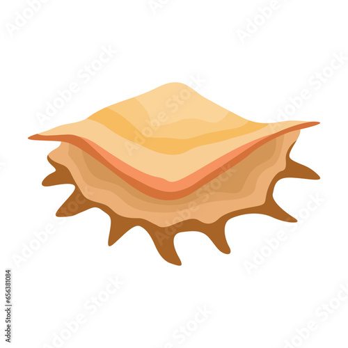 Vector illustration single or set of sea shell in flat style. Animal various mollusc shell in cartoon. Design element for summer beach ocean aquatif life holiday