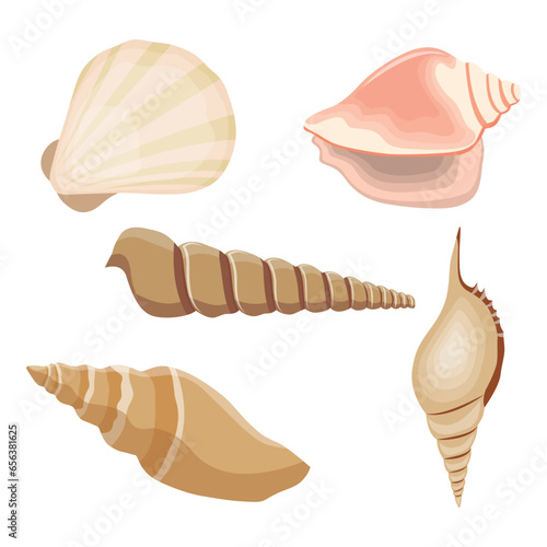 Vector illustration single or set of sea shell in flat style. Animal various mollusc shell in cartoon. Design element for summer beach ocean aquatif life holiday
