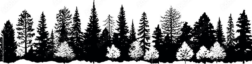 A set of coniferous spruce trees silhouettes, standing tall and lined up horizontally on a transparent background. Generative AI 