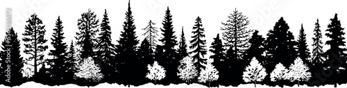A set of coniferous spruce trees silhouettes  standing tall and lined up horizontally on a transparent background. Generative AI 