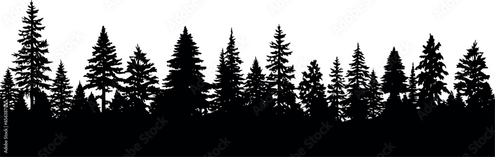 Fototapeta premium Fir trees silhouettes set in a horizontal arrangement. Coniferous spruce trees on a transparent background. Generative AI