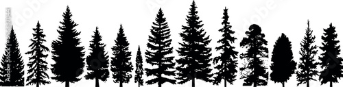 Set of coniferous spruce trees silhouettes forming a horizontal line, standing tall against a transparent background. Generative AI 