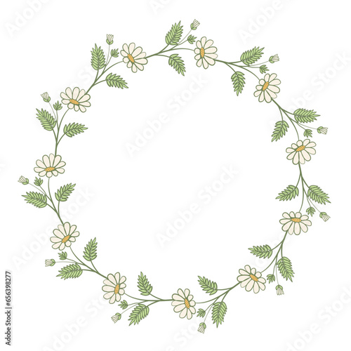 green leaf chamomile plant branch art drawn round frame
