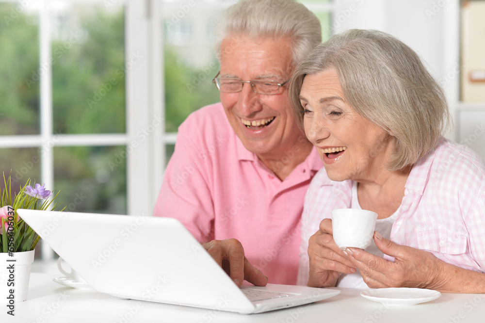 Portrait of senior couple using laptop at home Portrait of senior couple using laptop at home