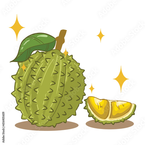 durian isolate Single images can be used to accompany books or as other illustrations.