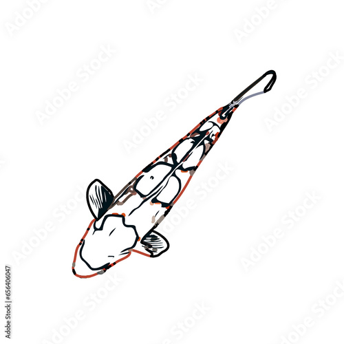 Color sketch of koi fish with transparent background