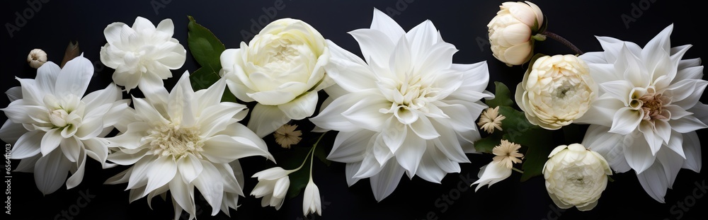 closeup view of various kinds of white flowers .dark natural background and flat layout.