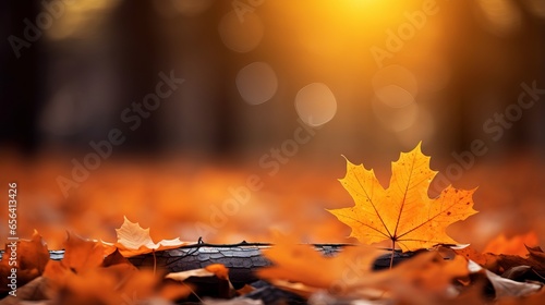 Autumn leaves in orange color with blurred background