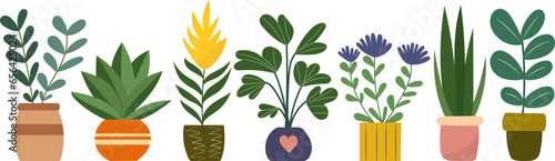 plants and flowers in flowerpots in flat style, on a white background, vector