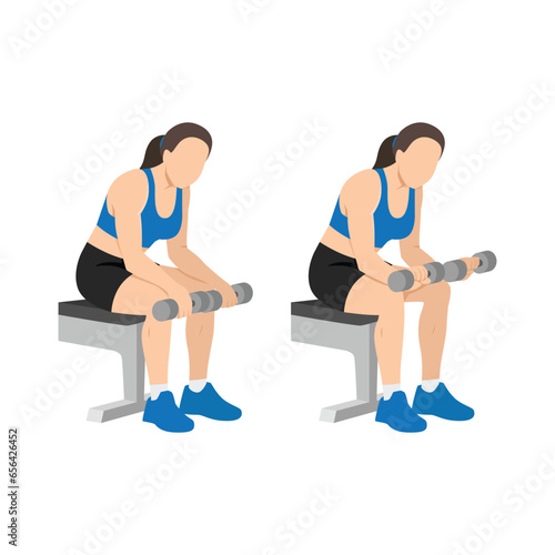 Woman doing seated dumbbell palm down wrist curls or forearm curls exercise. Flat vector illustration isolated on white background