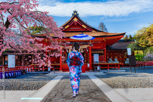 Cherry Blossoms of Shrine