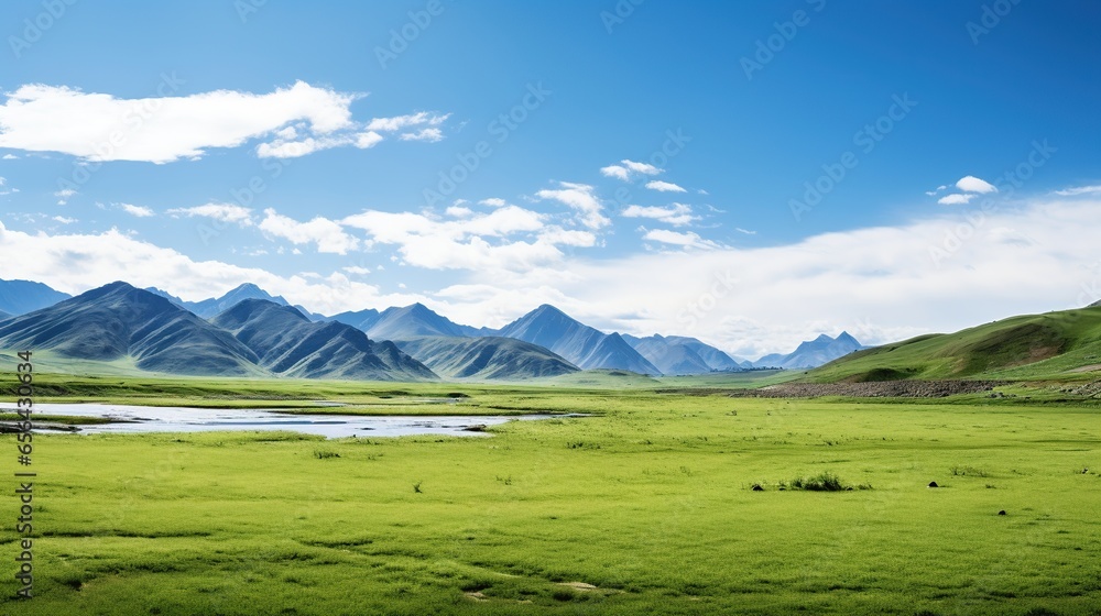 natural panorama of green grassland with blue sky during the day and swamp. natural panorama during summer