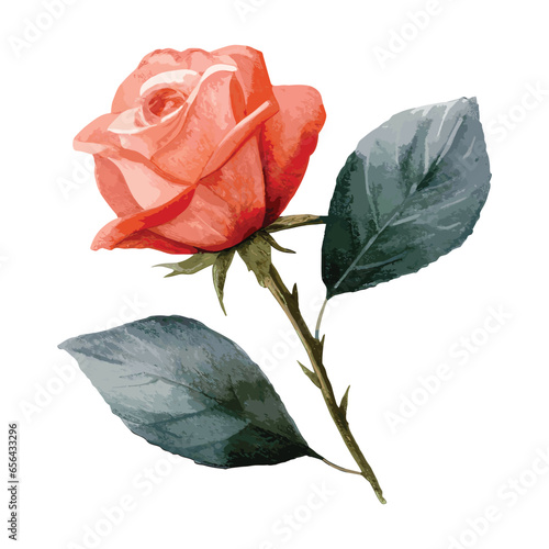 Transform your creative visions into tangible artistry with this exquisite pink and green floral illustration, highlighting roses very beautiful. Use it as a catalyst to create stunning bouquets, opul