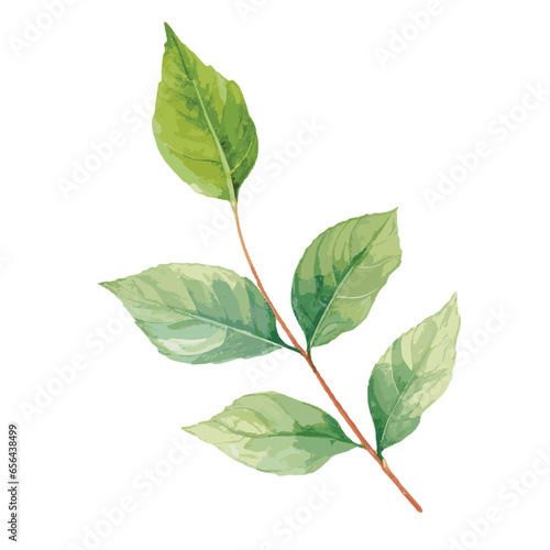 Create unique projects with these pre-designed images of watercolor leaves and savor the charm of hand-drawn illustrations in green.