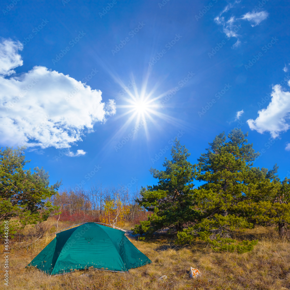 green touristic tent stay on fir tree forest glade at sunny day