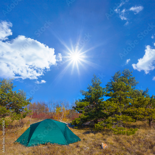 green touristic tent stay on fir tree forest glade at sunny day
