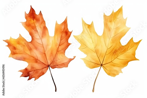 Beautiful yellow autumn leaves image isolated on a white background. Generative AI