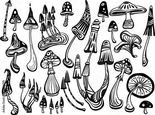 Set of Mystical Psychedelic mushrooms