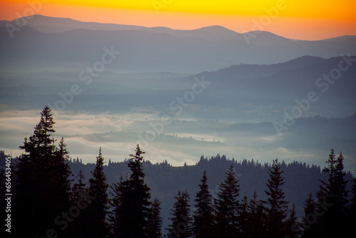 Morning fog in sunrise time in Carpathian mountains, Ukraine photo