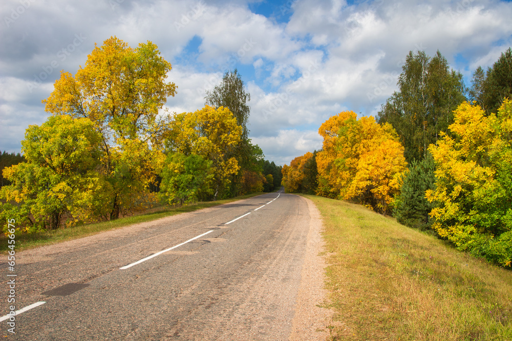Autumn pare of the year, trees of the forest starts yellow, local asphalt road passing through the forest. Landscape of the forest and local road.
