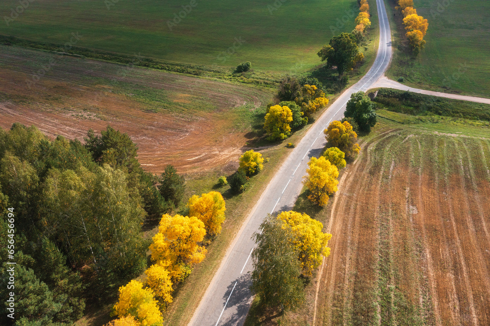 Aerial view of autumn landscape of a local road and agriculture fields. Harvested agricultural fields. There are trees on both sides of the road. Autumn time.