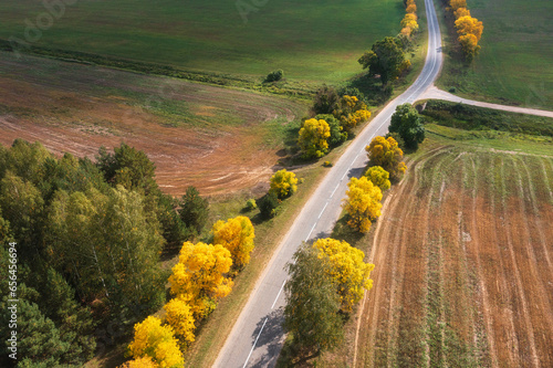 Obraz na płótnie Aerial view of autumn landscape of a local road and agriculture fields. Harvested agricultural fields. There are trees on both sides of the road. Autumn time. w salonie