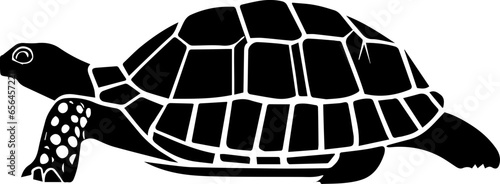 Gopher Tortoise icon 5
