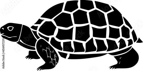 Gopher Tortoise icon 2 photo