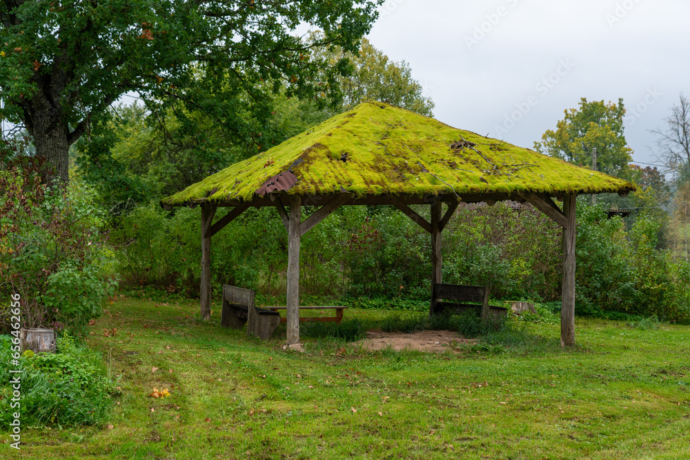 An old canopy overgrown with moss