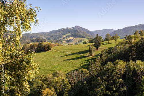 Hiking Trail near Kirchzarten in the Black Forest with a beautiful view. You can see the Mountain Hinterwaldkopf.
