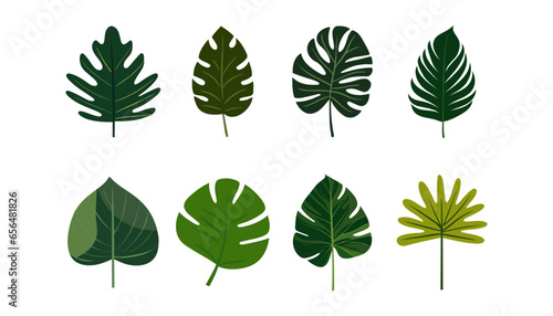 Collection of tropical leaves. Set flat isolated elements on a white background. Vector illustration