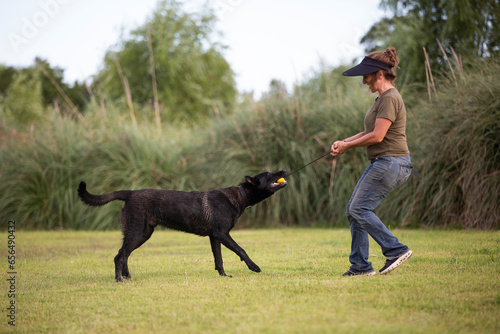 Great and amazing dog raze Black Malinois