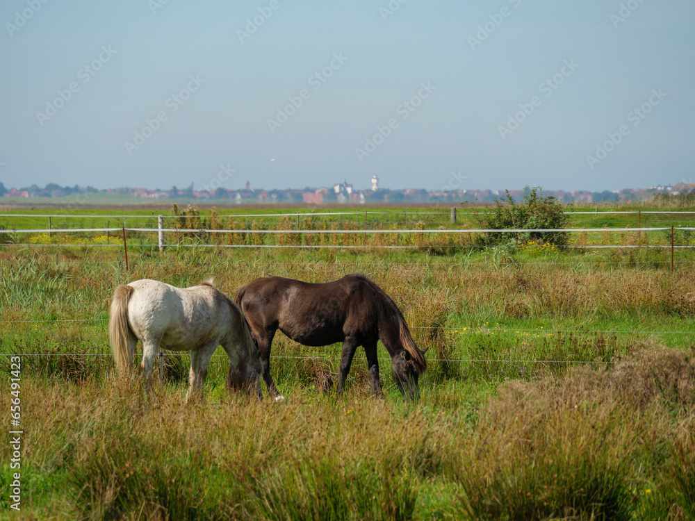 Die Insel Langeoog Die Insel Langeoog