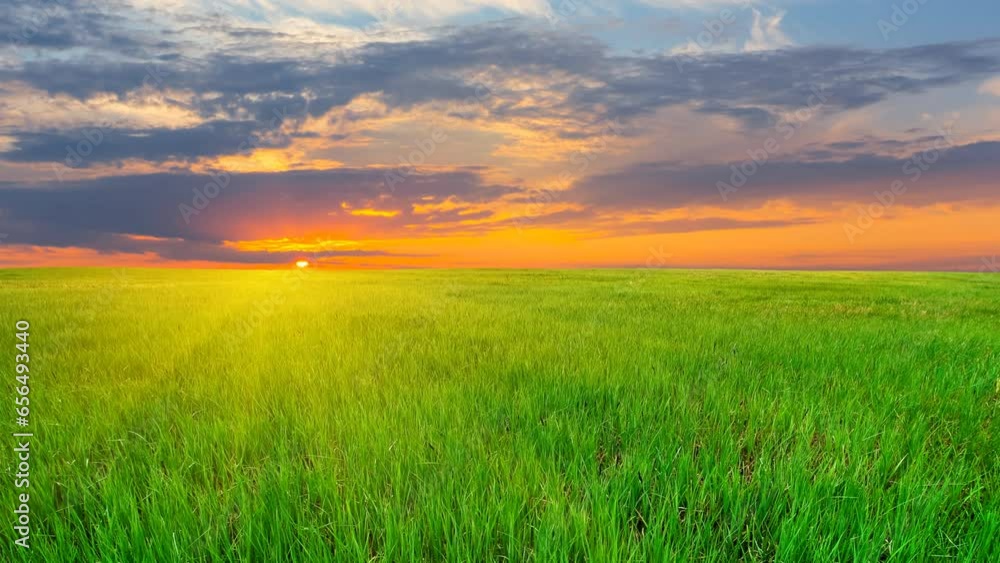 green field by a sunset time lapse scene green field by a sunset time lapse scene
