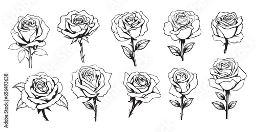 Roses set hand drawn sketch Flowers .Vector illustration Nature
