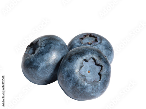 blueberries isolated on white background