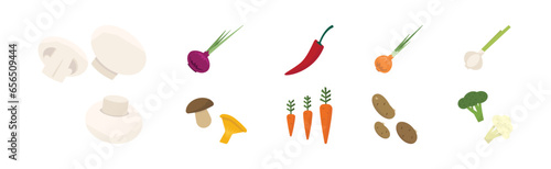 Harvest with Fresh and Ripe Organic Food and Product Vector Set