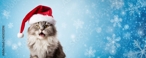 Funny cat in a Santa hat on a colored background.